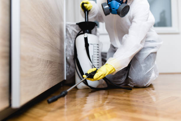 Best Residential Pest Control  in Decatur, MI