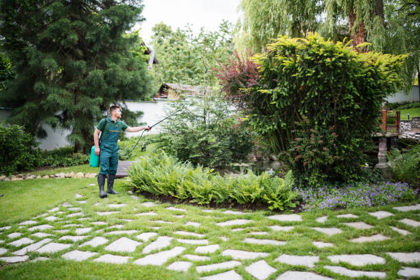 Best Mosquito Control Services  in Decatur, MI