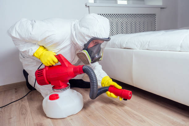 Best Best Pest Control Companies  in Decatur, MI