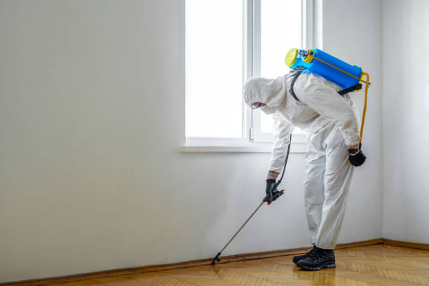 Best Pest Control Near Me in Decatur, MI