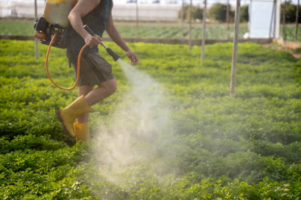 Best Affordable Pest Control Services  in Decatur, MI