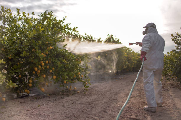 Best Affordable Exterminators  in Decatur, MI