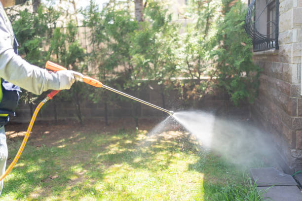 Best Bed Bug Extermination  in Decatur, MI