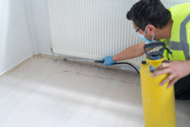 Best Pest Inspection Near Me  in Decatur, MI